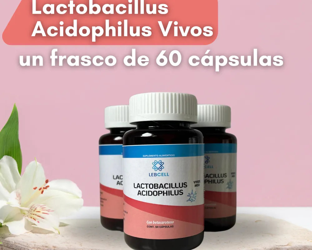 ¿Cómo revertir el hígado graso? Guía y soluciones con Lebcell