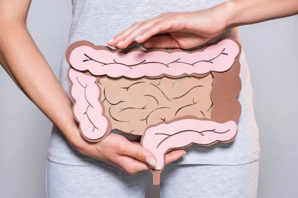 ¿Para qué sirven los probióticos? Conoce sus beneficios y cómo actúan en tu cuerpo