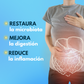 Restaura microbiota, mejora la digestión, reduce la inflamación